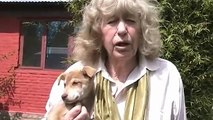 Jan Salter Introduces the KAT Centre, which Rescues Stray Dogs in Kathmandu, Nepal