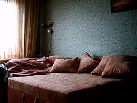 Мопс-один дома(скрытая камера)