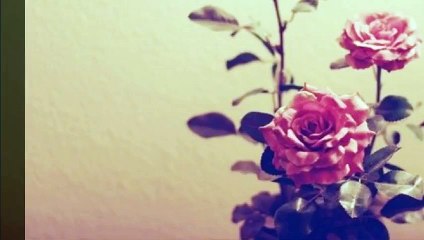 믿을수있는 부산진구일수 01O~6469~8957 부산진구방일수 (전화24시 월변 신불자 무직자 업소여성 개인)