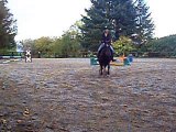 Riding My Horse Maverick aand Jumping :)
