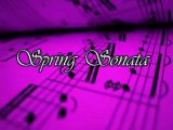 Beethoven - Spring Sonata (Violin Sonata No. 5 )