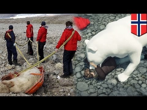 Eton schoolboy mauled by polar bear in Norway expedition camp