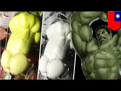 Funny fruit pictures : Giant johnson-shaped passion fruit found in Taiwan