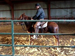 Extreme Mustang Makeover/ Taz First Ride.wmv