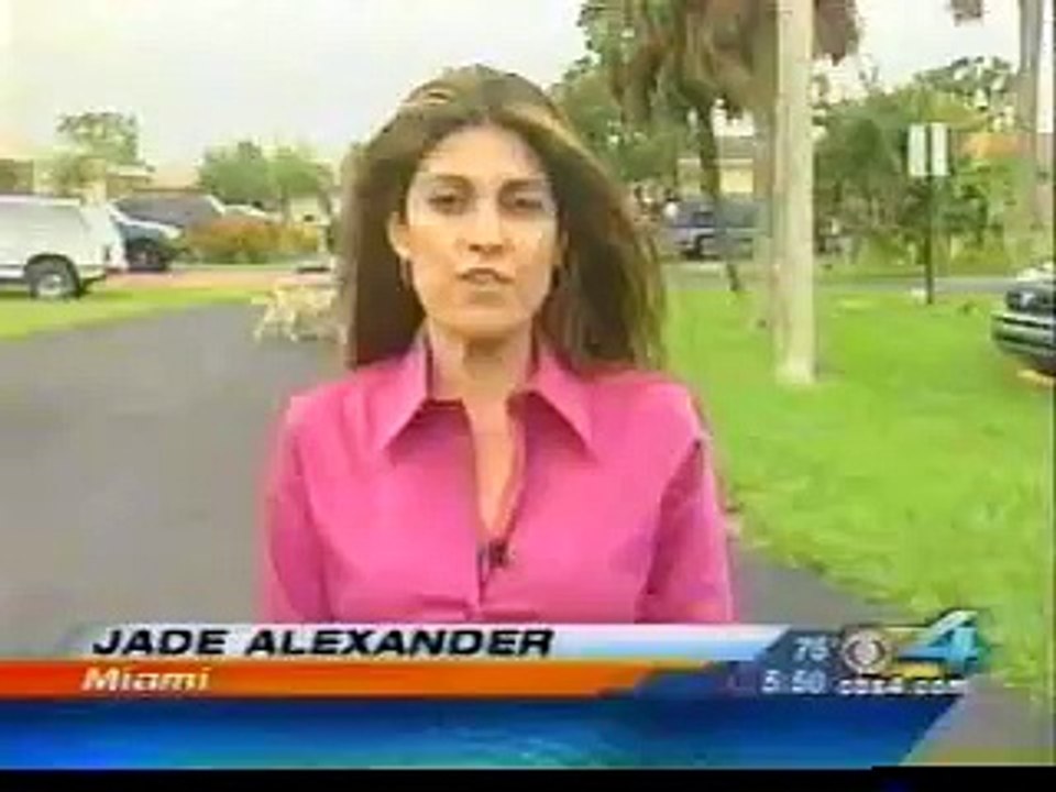 Miami Dog Whisperer Dog training Tip: How to walk your dog properly