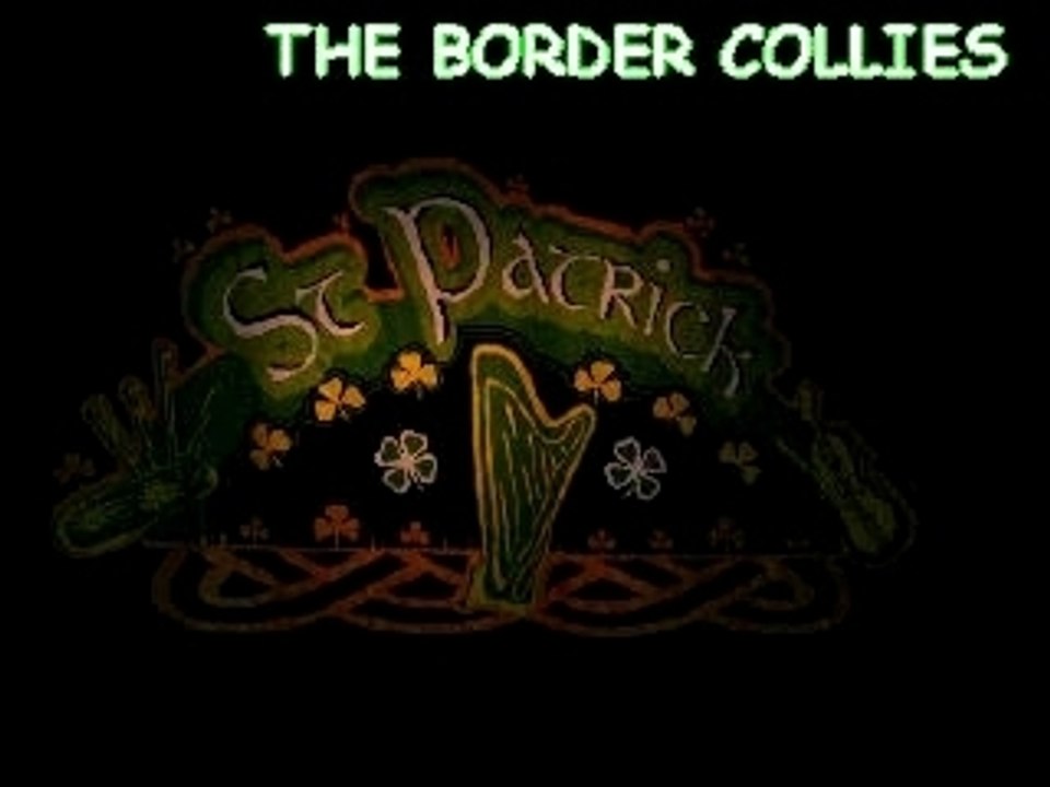 The Border Collies