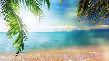 After Effects Project Files - Summer Time Slide Show - VideoHive 2728297