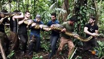 Man Says He Will be Eaten Alive by Anaconda on TV