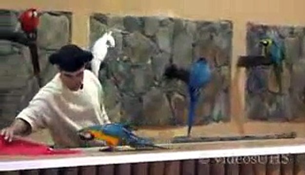 VID-20150414-WA0007.mp4