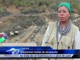 Coahuila.- Encuentran fósiles de dinosaurios. Se trata de un 