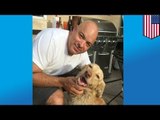 Lost dog found: 2 years later golden retriever reunited with owners after wandering the wilderness