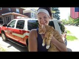 Woman needs rescuing after she tries to rescue cat from tree