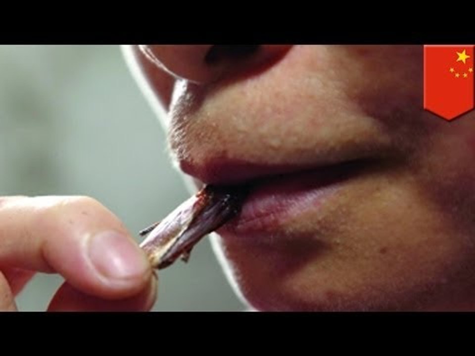Cockroach farming: Chinese woman breeds 100,000 roaches as traditional medicine