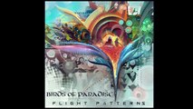 Birds of Paradise - Skyward Eye (Album Mix)
