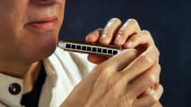 Howard Levy Harmonica Lesson: Tongue Blocking