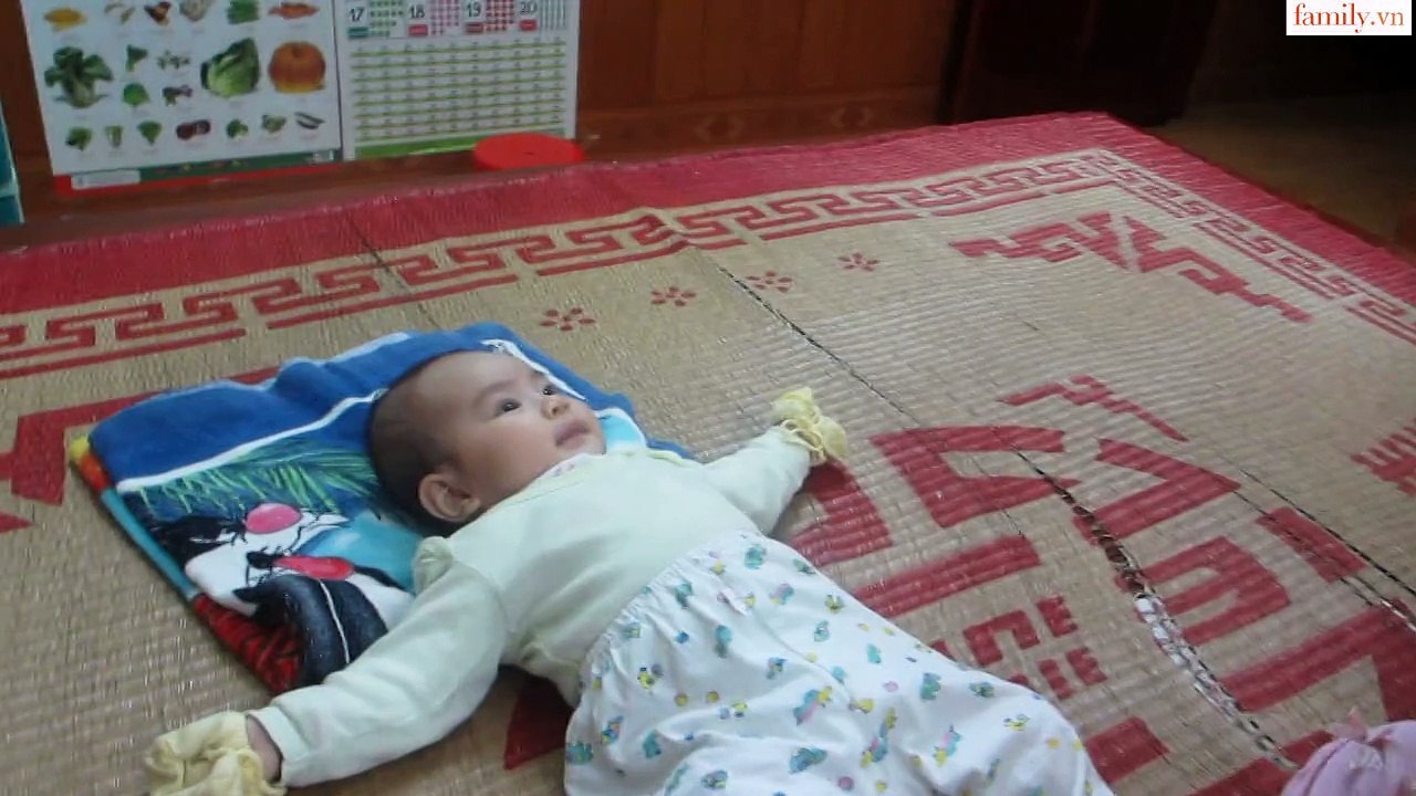 Vlog 81 Em Ngựa