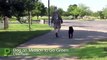 Owner Teaches Dog to Recycle Trash | Patch Video