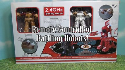 CIS 2.4GHz RC Boxing Battle Robot Pair Review