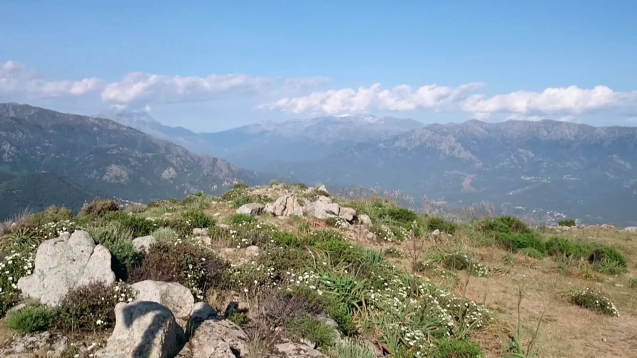 Punta Pastinaca Mai 2015