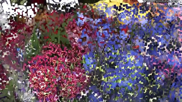 Nature Trees and Birds - A Collection Of Beautiful Flowers