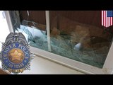 Mężczyzna próbuje włamać się do domu policjanta w biały dzień