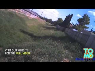 Policjant zabija 7-miesięcznego pitt bulla bez wyraźnej przyczyny.