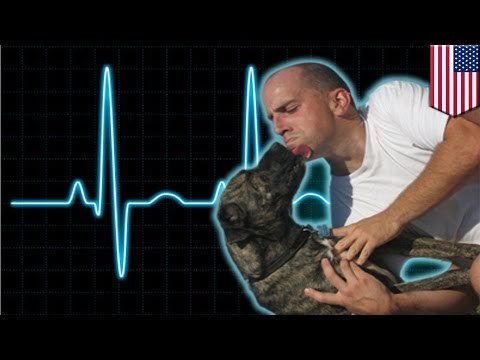 Mężczyzna robi sztuczne oddychanie psu i ratuje mu życie.