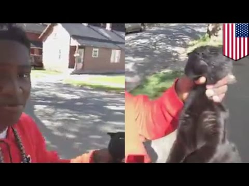 Nastolatek filmuje się podczas duszenia kota.