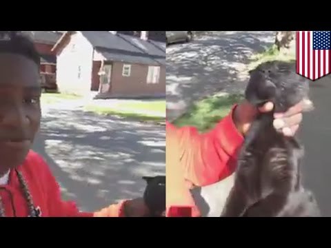 Nastolatek filmuje się podczas duszenia kota.