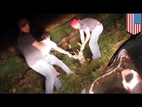 Jeleń uratowany przez grupę przyjaciół.