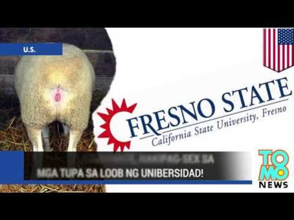 Lasing na estudyante, nahuling nakikipag-sex sa tupa!