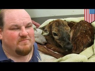 Landscaper, gumamit ng cutter para ma-deliver ang isang baby deer!