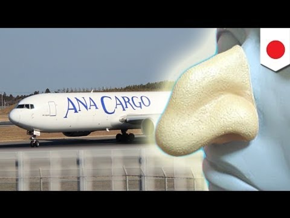 All Nippon Airways (ANA), tinanggal ang bago nilang 'racist ad'