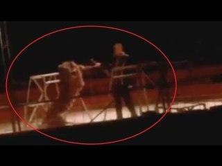 SHOCKING VIDEO: Tiger tamer sa Madrid, inatake ng tigre sa gitna ng show!