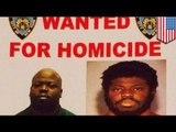Cops nail 'Brooklyn Butcher' Daniel St Hubert for stabbing, killing two 7 year old kids