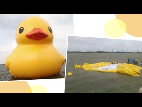 Giant rubber duck sa Taoyuan, biktima ng lindol