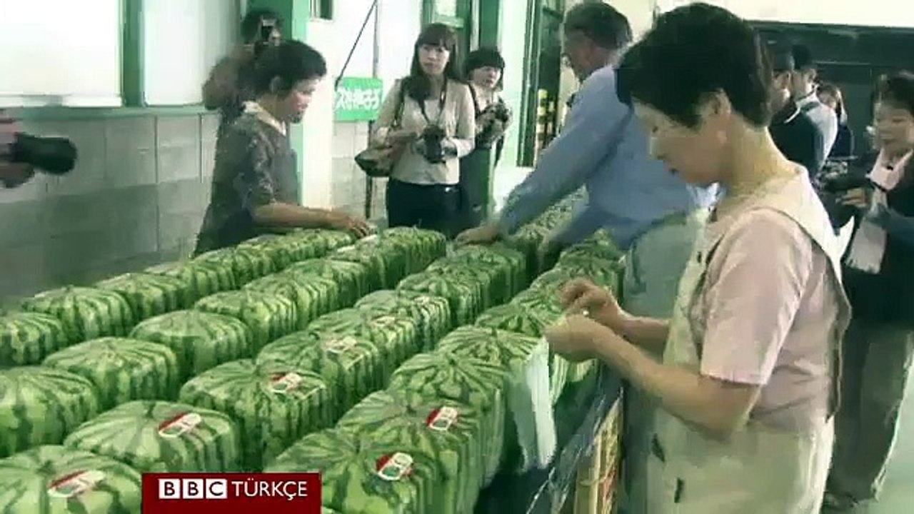 Kare Karpuz