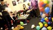 MUST SEE! - CALLY The Wonder Dog Destroys 150 Balloons in 2 Mins - Hilarious!