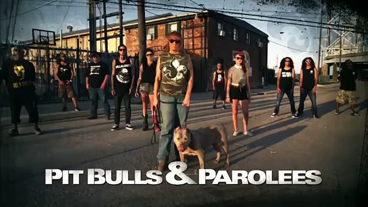 La réaction de cette chienne enceinte, fatiguée et affamée devant des sauveteurs...