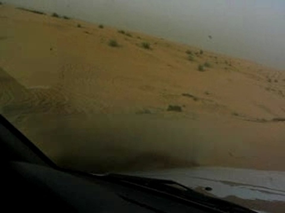 Dubai Safari