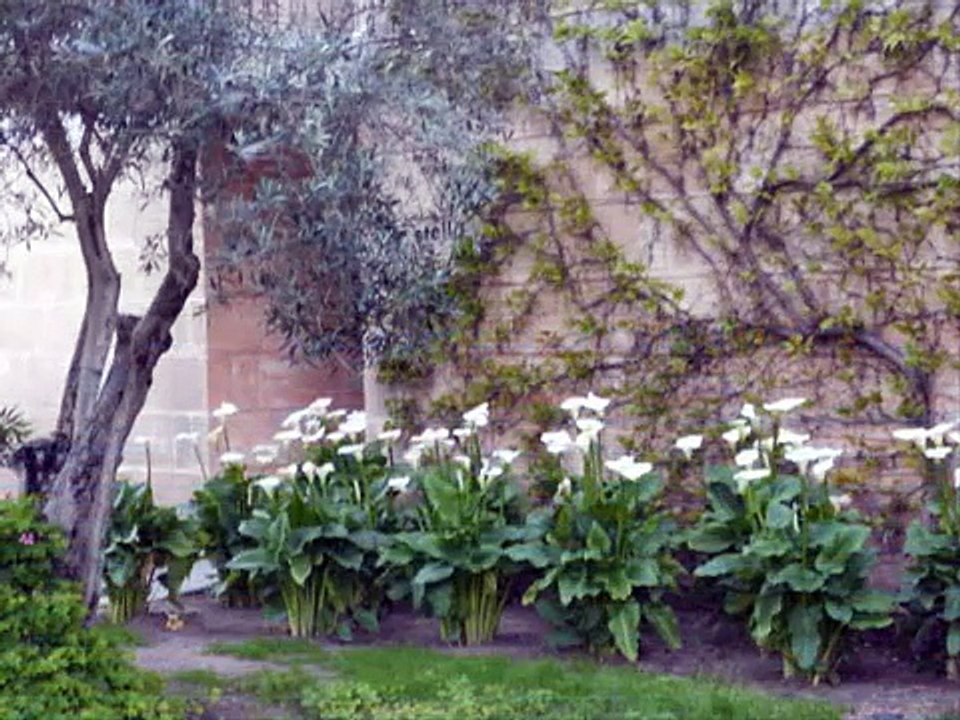 Mon séjour aux Baléares ( Avril 2013 )