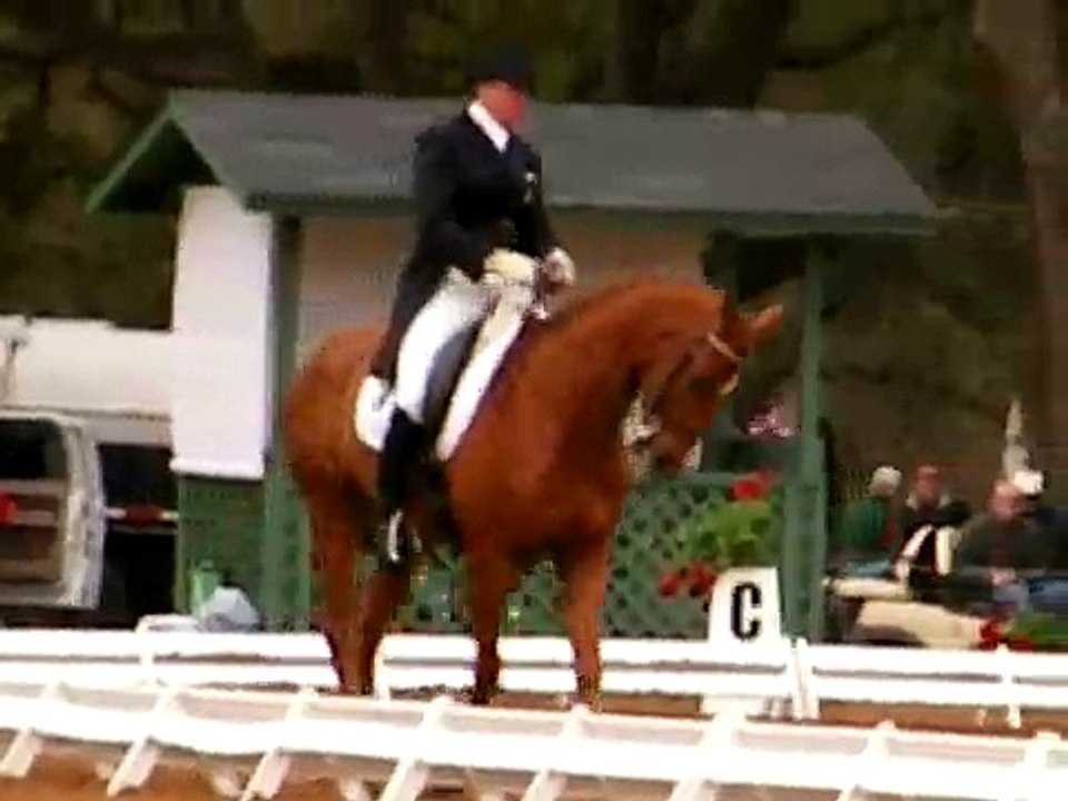 Theodore O'Connor: Bad pony. Bad, BAD pony! (1)