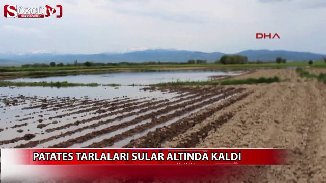 Patates tarlaları sular altında kaldı