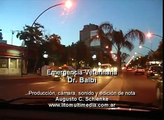 Emergencia Veterinaria (Nota 4) ...por LitoMultimedia