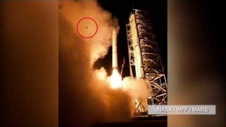 PHOTO: Isang palaka, naging sorpresang bida sa NASA rocket launch
