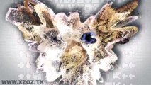 XZOZ - STARBUSTER [ Best Electro House 2011 2012 New Songs Februar ] Disco Boys Type