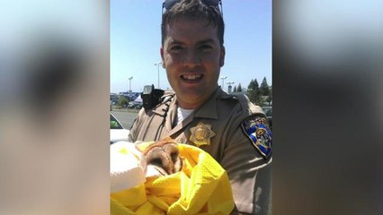 Police rescue injured owl on California highway