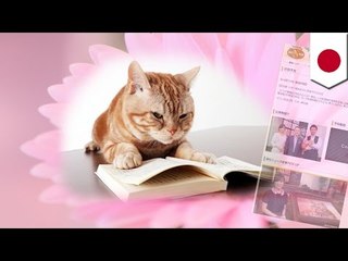 テレ東番組の看板ネコが急死