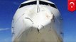 Airplane crashes into big fat bird: Turkish Airlines jet bird strike does damage - TomoNews