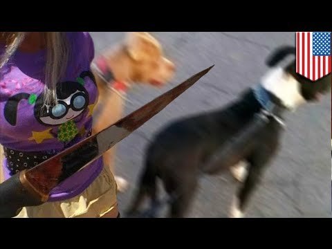 Woman stabs and kills two pitbull dogs during vicious attack